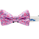 Cutie Ties Dog Bow Tie