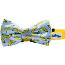 Cutie Ties Dog Bow Ties