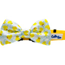 Cutie Ties Dog Bow Ties