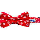 Cutie Ties Dog Bow Ties