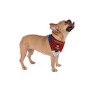They Not Like Us Kendrick Lamar Dog Bandana