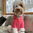 CUTE AF Dog Hoodie