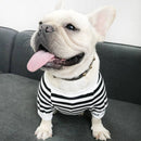 Stripe - Matching Pet & Owner Clothing Set