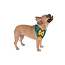 Vibrant Afrocentric Custom Dog Bandana – Blue, Black & Yellow