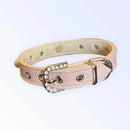 Vegan Leather Beaded Pearls & Bow Dog Collar