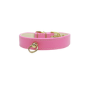 Bee Mine Dog Collar