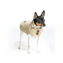 The Original Dog Trench Coat