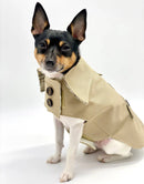 The Original Dog Trench Coat