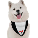 Tuxedo - Dog Bandana