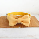 Buttercup Leash Collar Bow Set