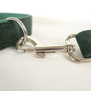 Dog Collar Leash Bow Tie Set