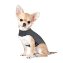 Grey Dog Anxiety Vest / Jacket