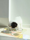 Acrylic Dazzling Food Bowl