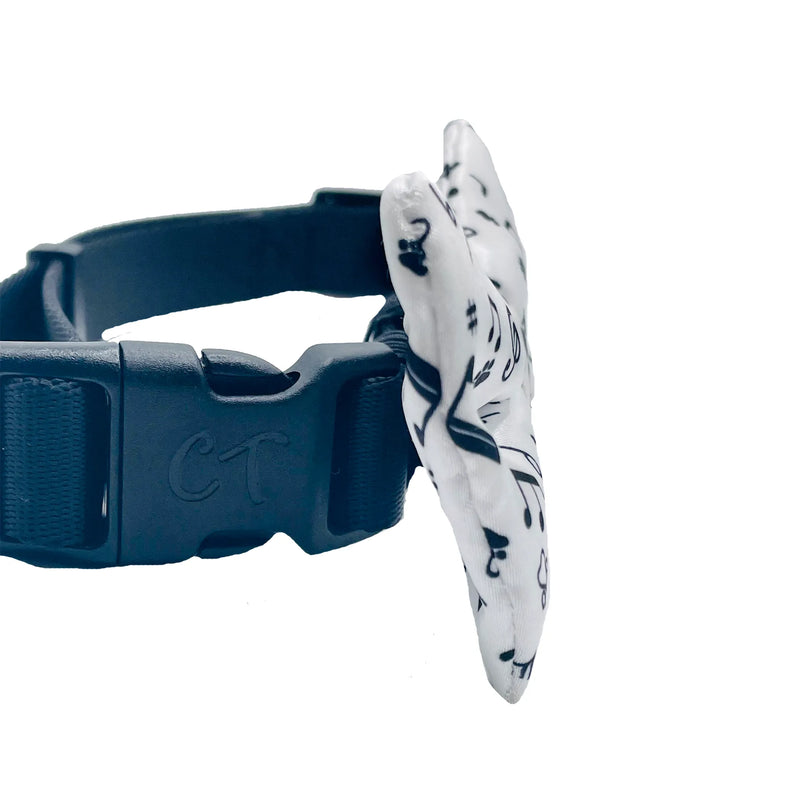 Cutie Ties Dog Bow Ties