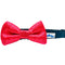 Cutie Ties Dog Bow Ties