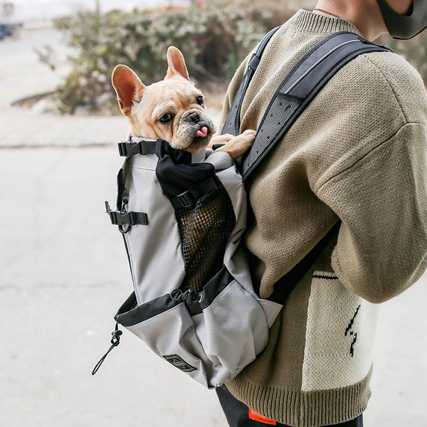 Backpack Dog Carrier
