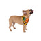African Print Pet Bandana