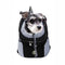 Mesh Backpack Carrier Bag For Dogs
