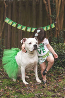 Green Tutu Skirt for Dogs
