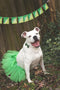 Green Tutu Skirt for Dogs