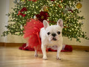 Red Dog Tutu Skirt