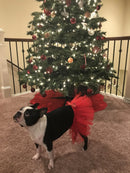 Red Dog Tutu Skirt