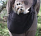 Lined Cuddle Dog Carrier