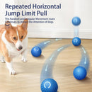 Dog's Smart Self-Rolling Bouncy Ball