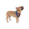 Boho Chic Style Bandana