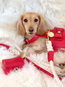 Melting Hearts - Rope Leash with Leather Handle
