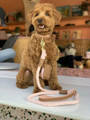 Genuine Leather Rope Dog Leash
