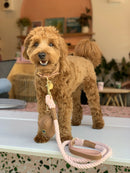 Genuine Leather Rope Dog Leash
