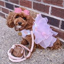 Genuine Leather Rope Dog Leash