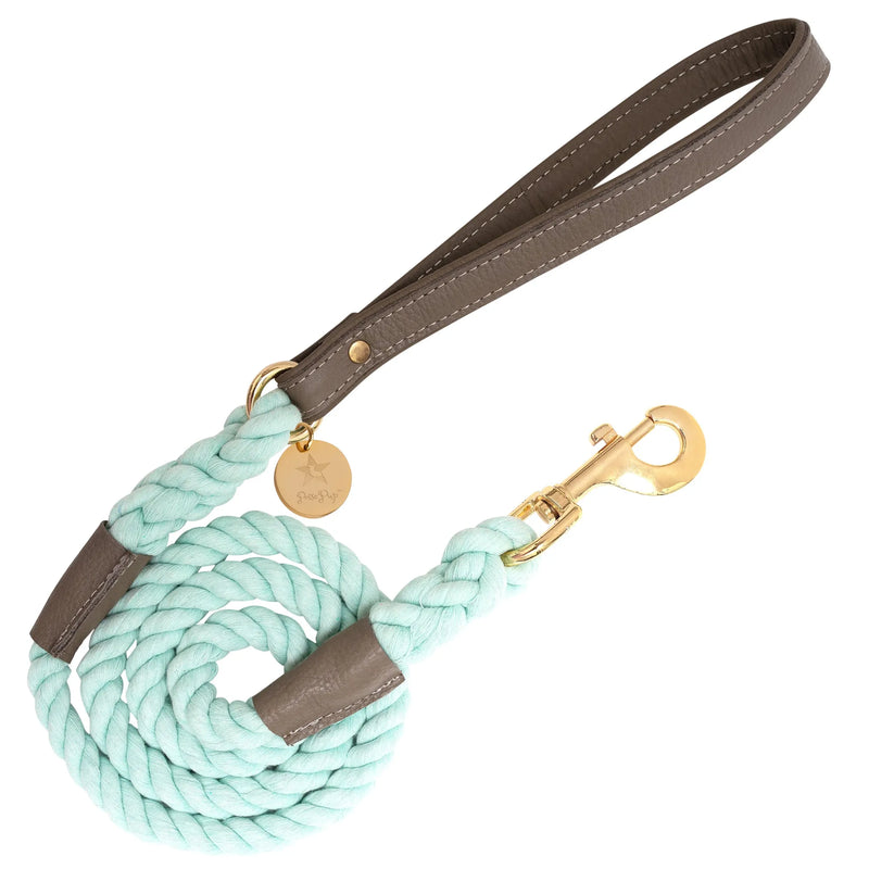 Candy Swirl - Rope Leash with Leather Handle