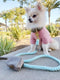 Rope Leash with Leather Handle - Desert Mint
