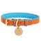 Genuine Leather Dog Collar (Various Colors)