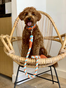 Vibrant Sunset - Rope Leash with Leather Handle