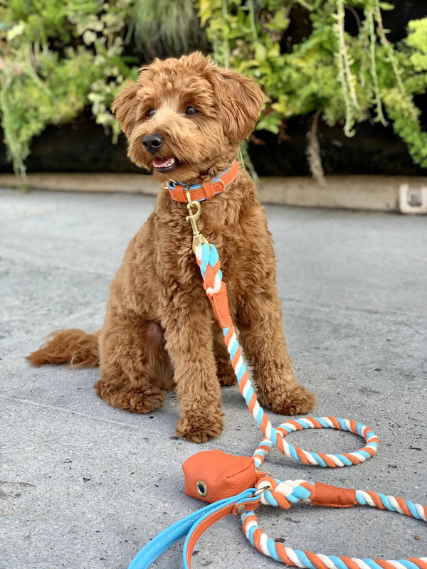 Vibrant Sunset - Rope Leash with Leather Handle