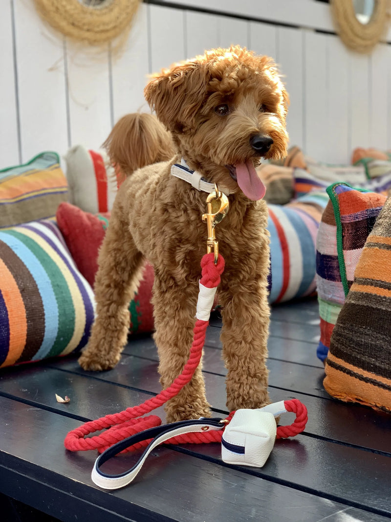 Red/White - Rope Leash with Leather Handle