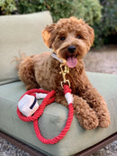 Red/White - Rope Leash with Leather Handle