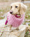 Candy Swirl - Rope Leash with Leather Handle