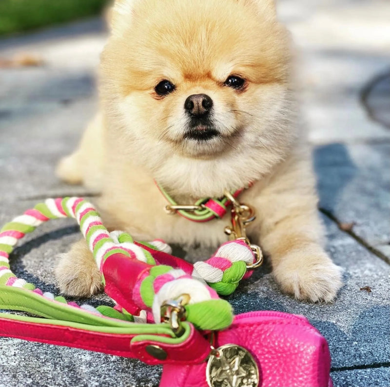 Candy Swirl - Rope Leash with Leather Handle