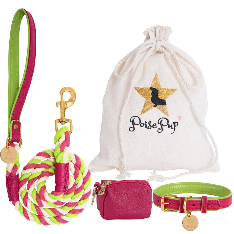 Candy Swirl - Rope Leash with Leather Handle