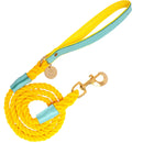 Candy Swirl - Rope Leash with Leather Handle