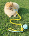 Yellow - Rope Leash with Leather Handle
