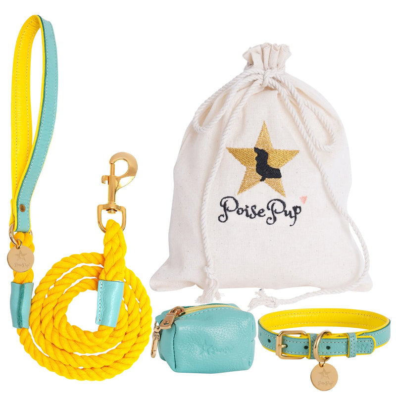 Yellow - Rope Leash with Leather Handle