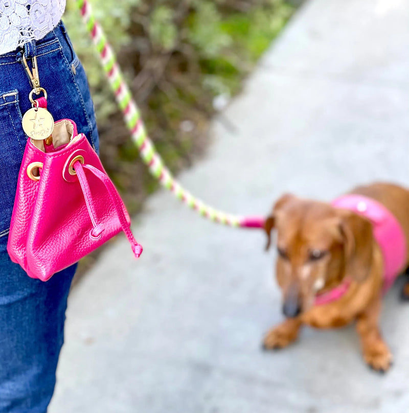 Candy Swirl - Leather Treat Bags