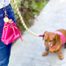 Genuine Leather Dog Treat Bag