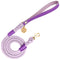Candy Swirl - Rope Leash with Leather Handle