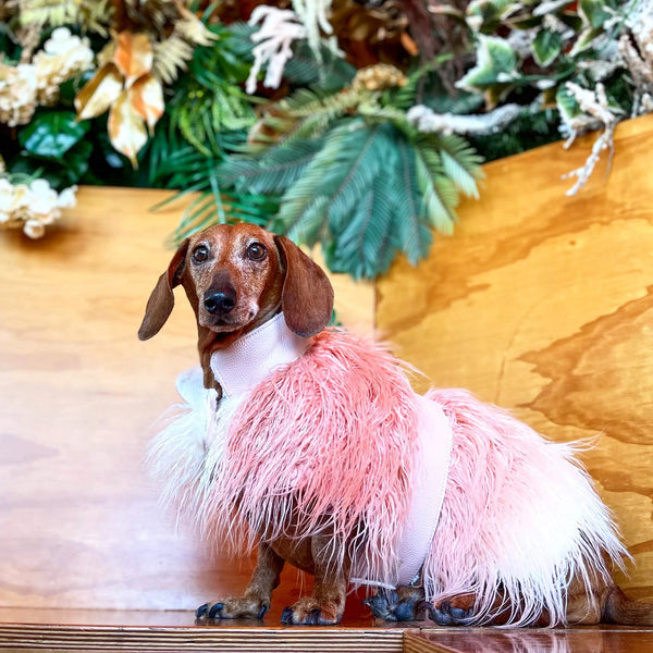Mink Faux-Fur Dog Vest - Bella Rose